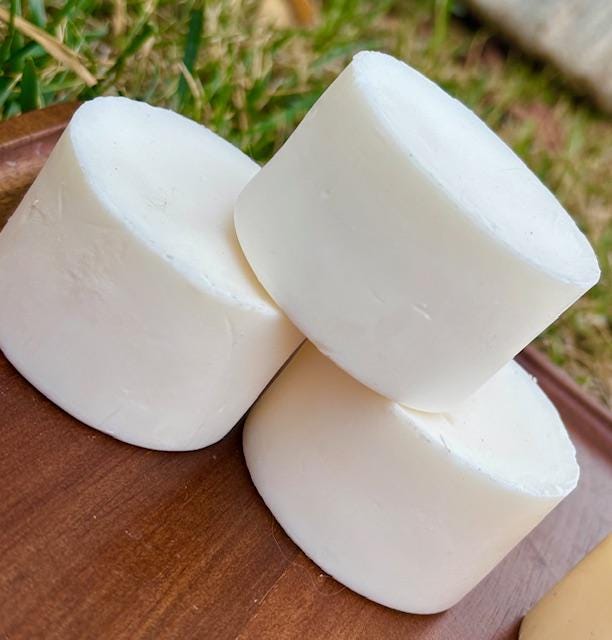 Shampoo and conditioner set, Zero waste